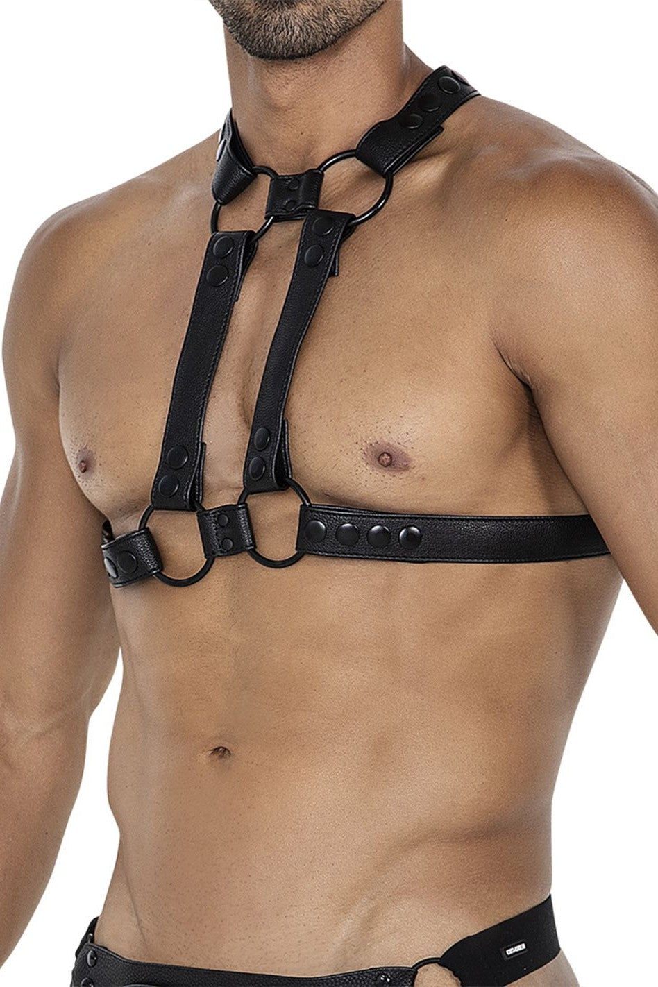 4-Way Harness