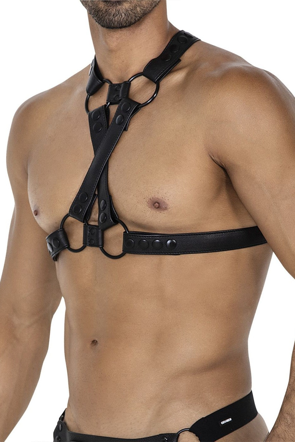 4-Way Harness