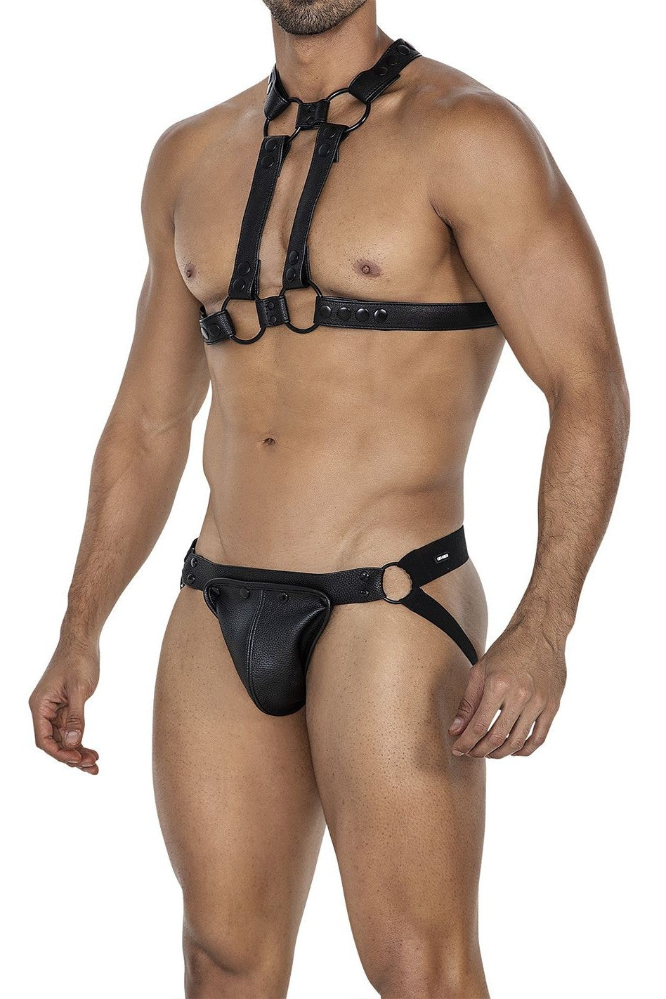 4-Way Harness