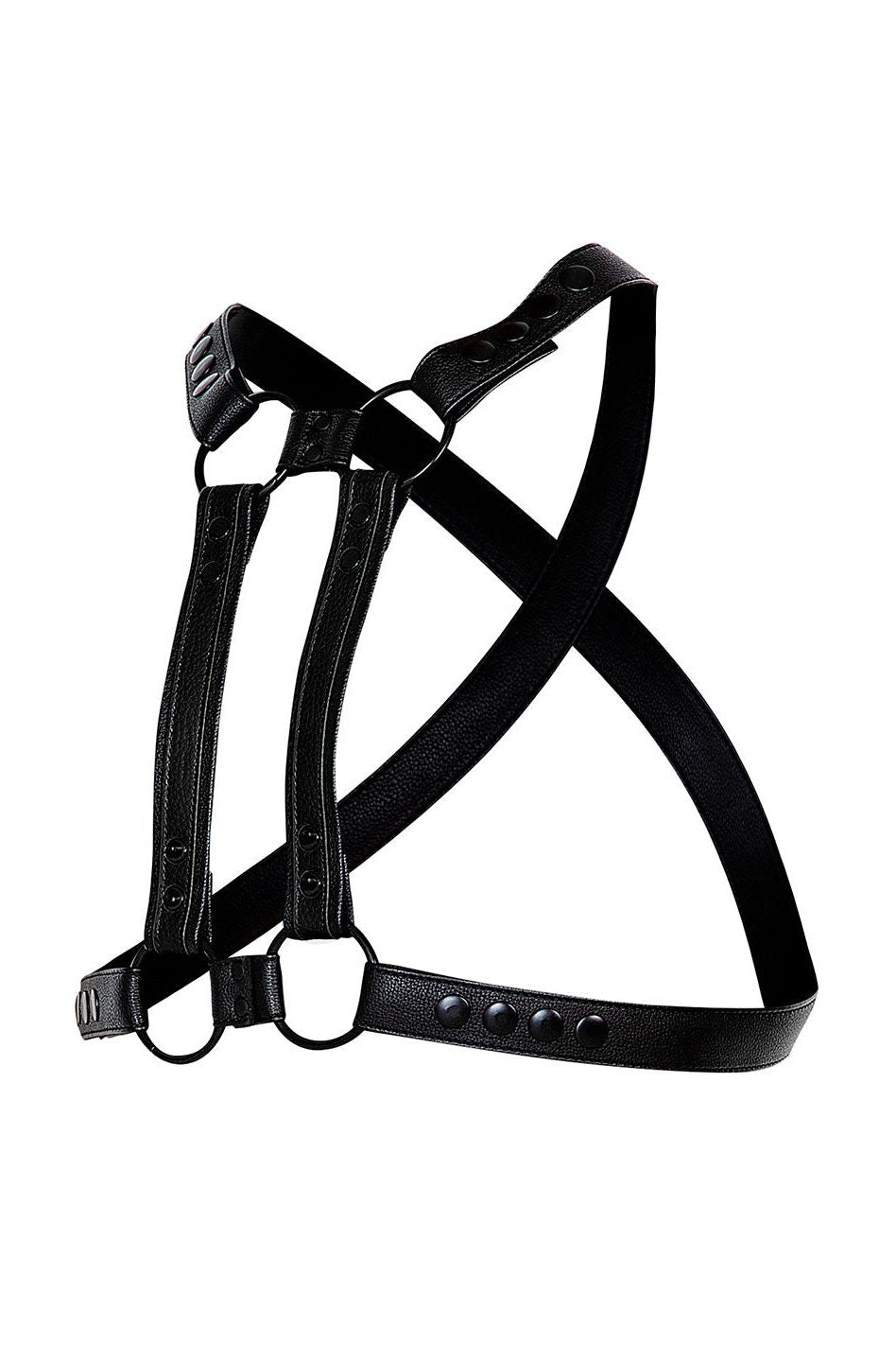 4-Way Harness