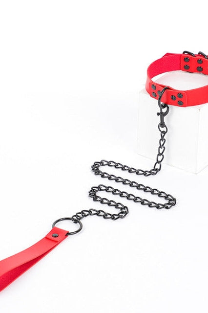 Faux Leather Collar and Leash