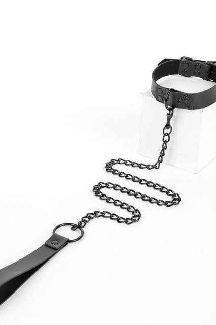 Faux Leather Collar and Leash