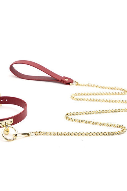 Faux Leather Collar and Leash