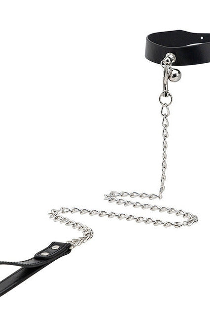 Faux Leather Collar and Leash