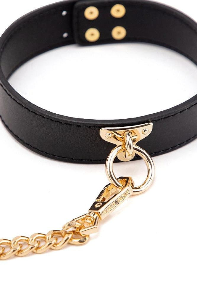 Faux Leather Collar and Leash
