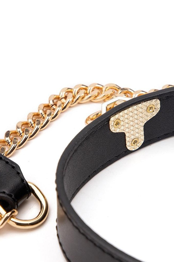 Faux Leather Collar and Leash
