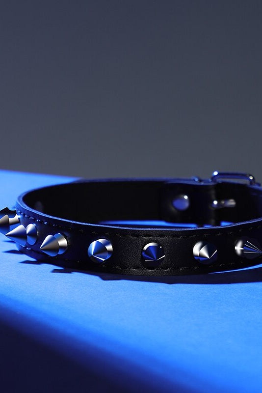 Spiked Necklace
