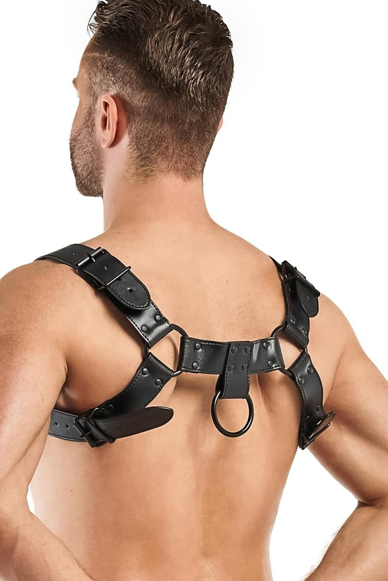 Black O-Ring Harness