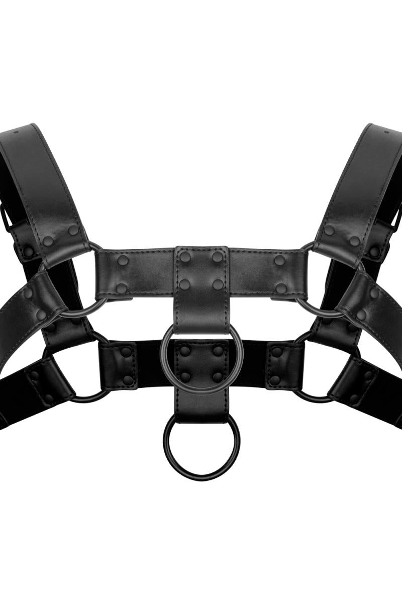 Black O-Ring Harness