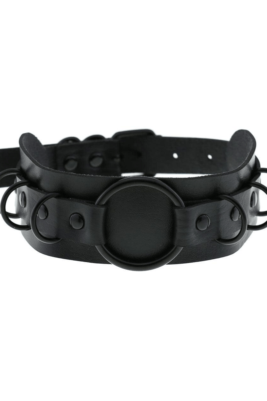 Choker Necklace and Collar