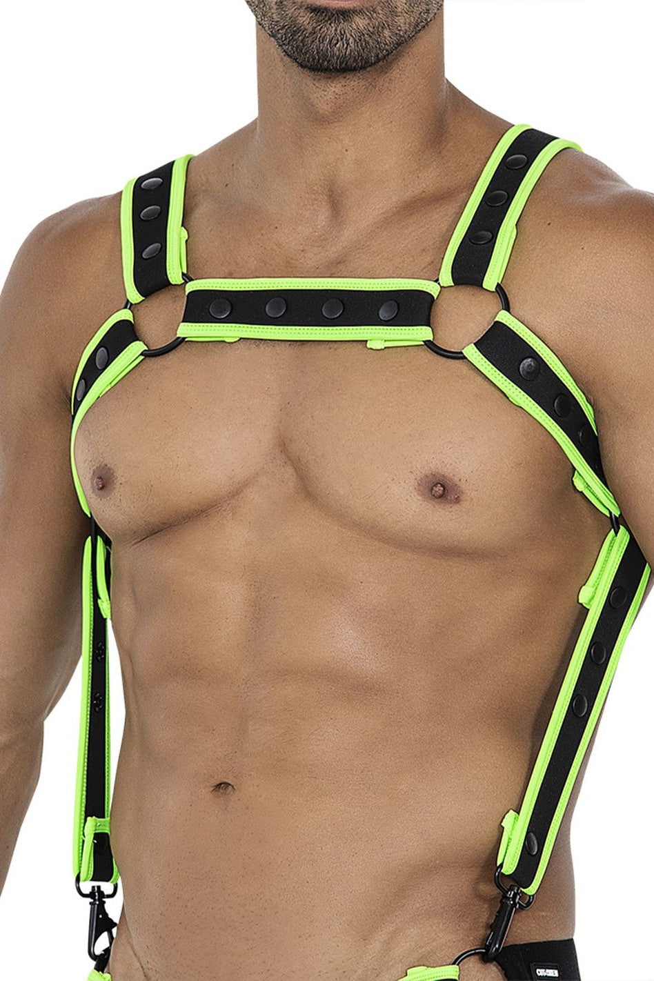 Neo Harness