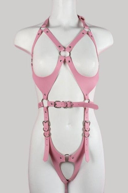 Full Body Harness