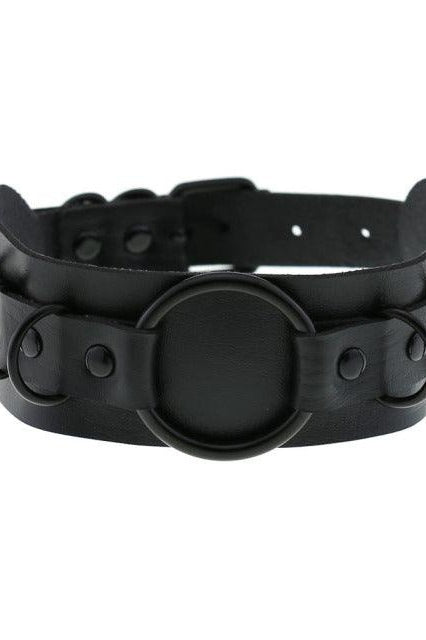 Choker Necklace and Collar