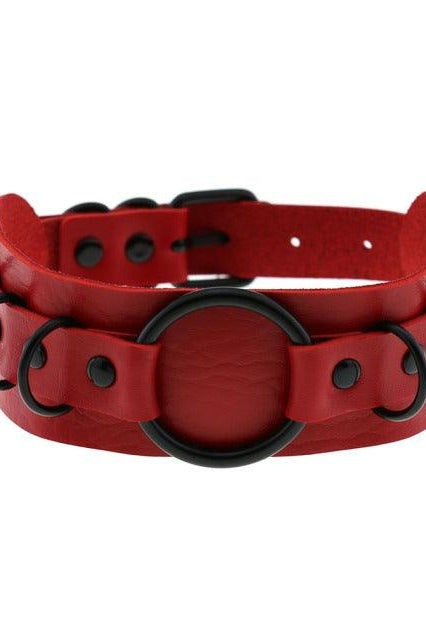 Choker Necklace and Collar