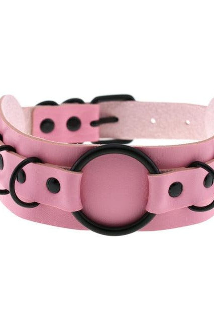 Choker Necklace and Collar