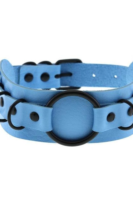 Choker Necklace and Collar