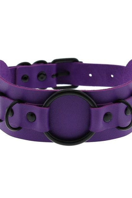 Choker Necklace and Collar