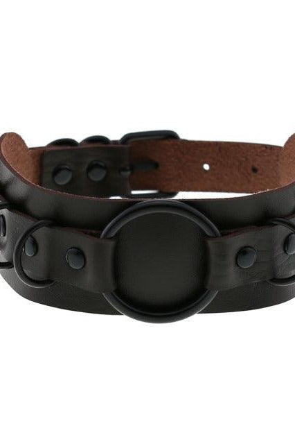 Choker Necklace and Collar