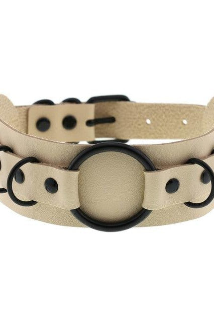 Choker Necklace and Collar