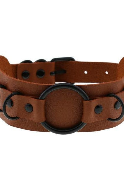 Choker Necklace and Collar