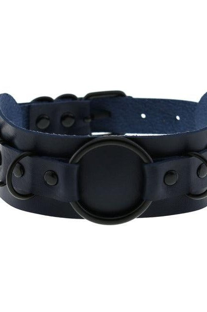 Choker Necklace and Collar