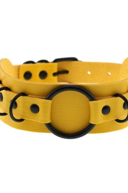 Choker Necklace and Collar